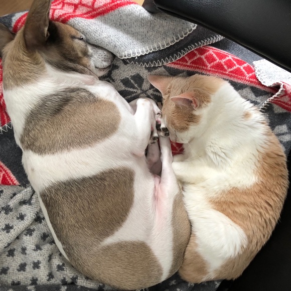 I hope to brighten your day!🌟 - Picture 2 of 9